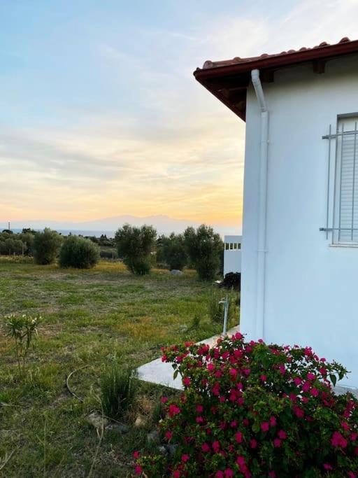 Summer House Spiti Pirgos 에파노미 외부 사진